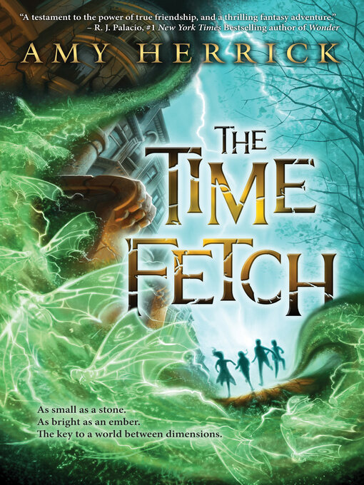 Title details for The Time Fetch by Amy Herrick - Available